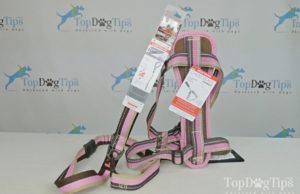 Giveaway: EzyDog Chest Plate Harness and Leash ($60+ Value) EzyDog Chest Plate Harness Giveaway