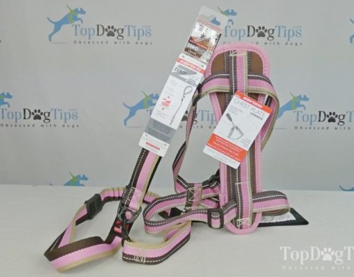 Giveaway: EzyDog Chest Plate Harness and Leash ($60+ Value) EzyDog Chest Plate Harness Giveaway