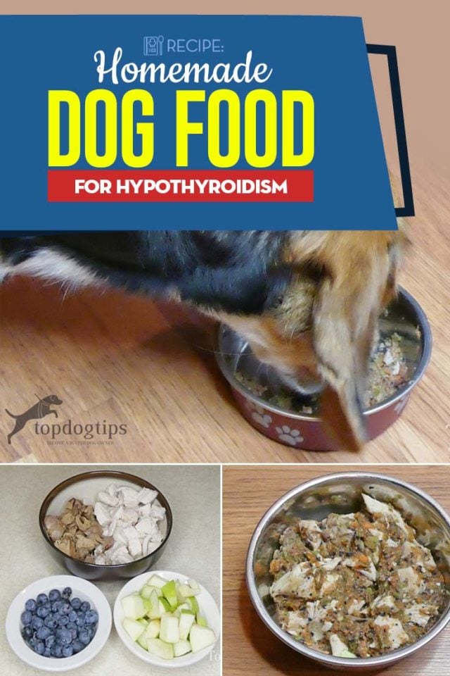 Homemade Dog Food for Hypothyroidism Recipe - Iga Deficiency Dog Food For Thyroid