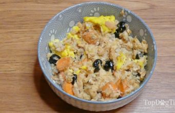 Recipe: Homemade Dog Food for Post Surgery Recovery Homemade Dog Food for Post Surgery Recovery