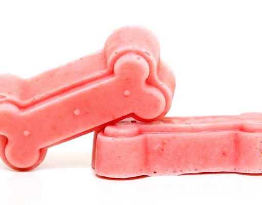 How to Make Dog Ice Cream How to Make Dog Ice Cream - Homemade Ice Cream for Dogs