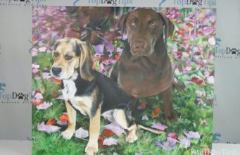 Review: PaintYourLife Custom Handmade Portrait Paint the Photo Giveaway