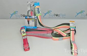 Review: RC Pet Products Dog Collar and Leash RC Pet Products Dog Collar and Leash