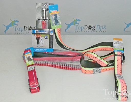 Review: RC Pet Products Dog Collar and Leash RC Pet Products Dog Collar and Leash