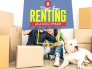 8 Tips for Leasing Apartment/House as a Pet Owner Renting with Dogs - Top 8 Tips for Leasing ApartmentHouse as a Pet Owner