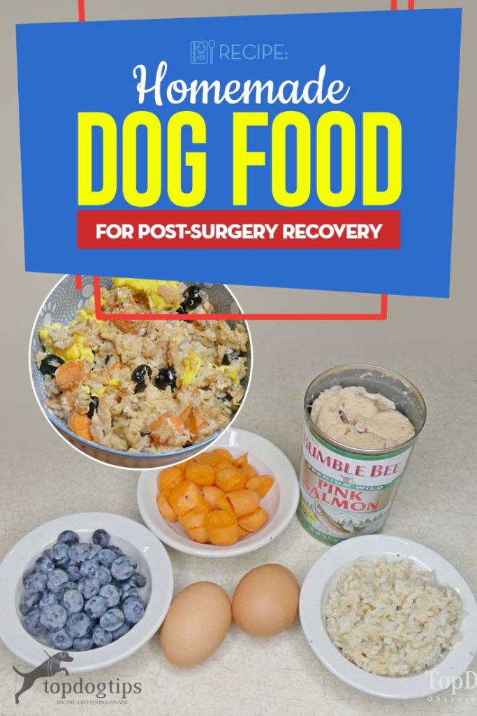 Homemade Dog Food For Post Surgery Recovery Recipe