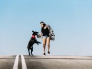 12 Fun Ways to Bond with Your Dog 12 Wonderful Ways to Bond with Your Dog