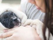 18 Signs You’re Definitely Obsessed With Your Dog 18 Signs You're Definitely Obsessed With Your Dog