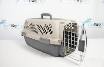 Review: Aspen Pet Porter Kennel Aspen Pen Porter Kennel Review