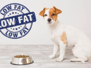 Top 15 Best Low Fat Dog Food Brands Best Low Fat Dog Food Brands