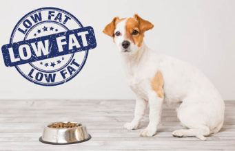 Top 15 Best Low Fat Dog Food Brands Best Low Fat Dog Food Brands