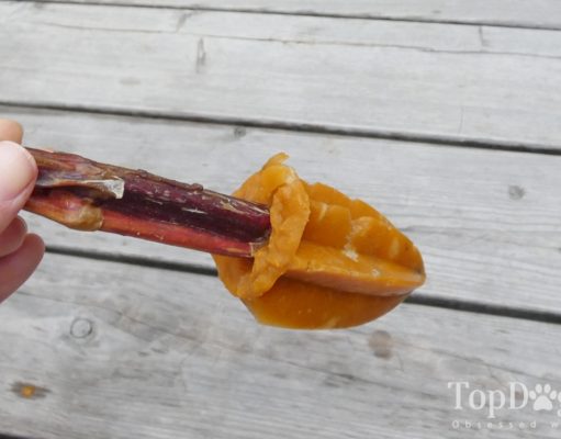 Recipe: Bully Stick Doggy Pupsicles with Blueberries & Apples Bully Stick Doggy Pupsicles