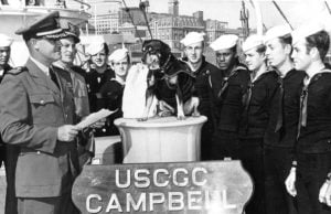 10 Most Famous Dogs in History Sinbad the Lovable Mutt