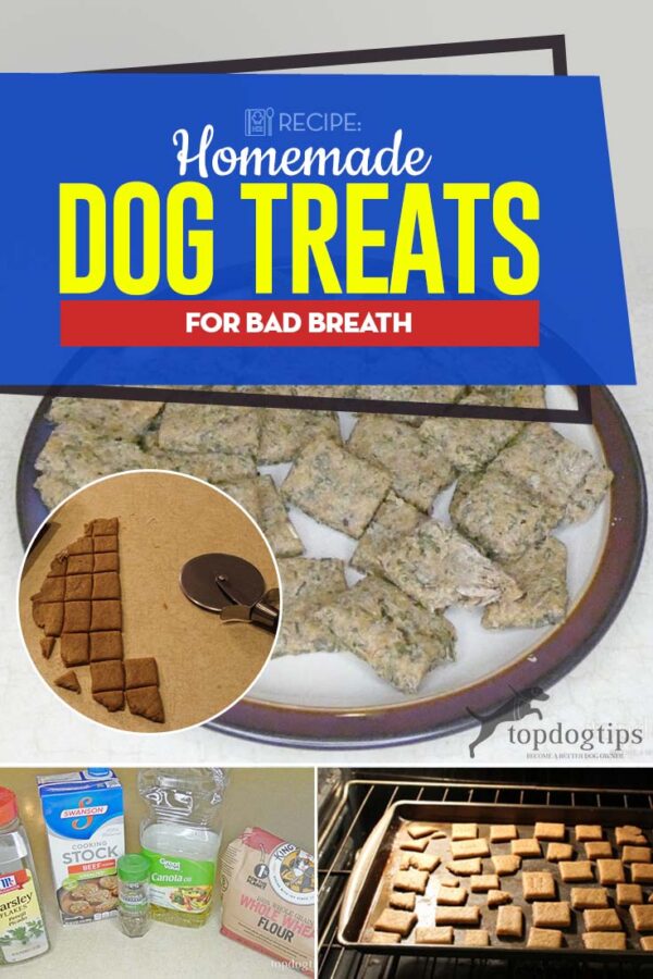 RECIPE Homemade Dog Treats for Bad Breath (With Video)