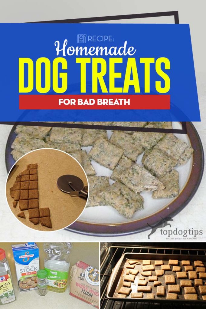 RECIPE Homemade Dog Treats for Bad Breath (With Video)