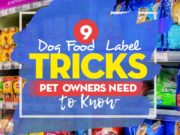 9 Dog Food Label Tricks Pet Owners Need to Know Top 9 Dog Food Label Tricks Pet Owners Need to Know