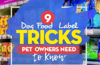 9 Dog Food Label Tricks Pet Owners Need to Know Top 9 Dog Food Label Tricks Pet Owners Need to Know