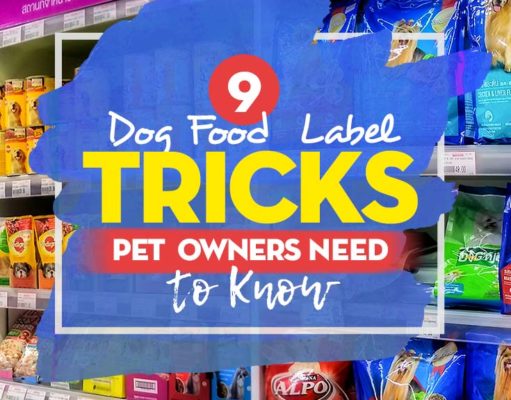 9 Dog Food Label Tricks Pet Owners Need to Know Top 9 Dog Food Label Tricks Pet Owners Need to Know