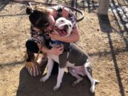 Woman Who Lost Her Dog Sees Him 3 Years Later on TV Woman Who Lost Dog Finds Him 3 Years Later On TV