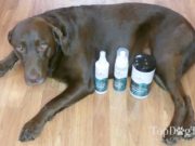 Review: Zogics Pet Dog Grooming Supplies Zogics Dog Grooming Supplies