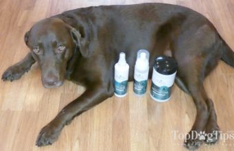 Review: Zogics Pet Dog Grooming Supplies Zogics Dog Grooming Supplies