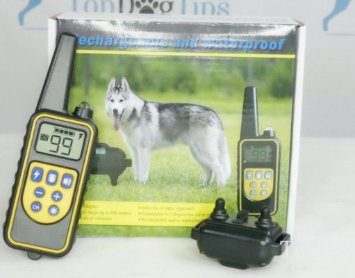 Review: iSPECLE Dog Training Collar iSPECLE Dog Training Collar Giveaway