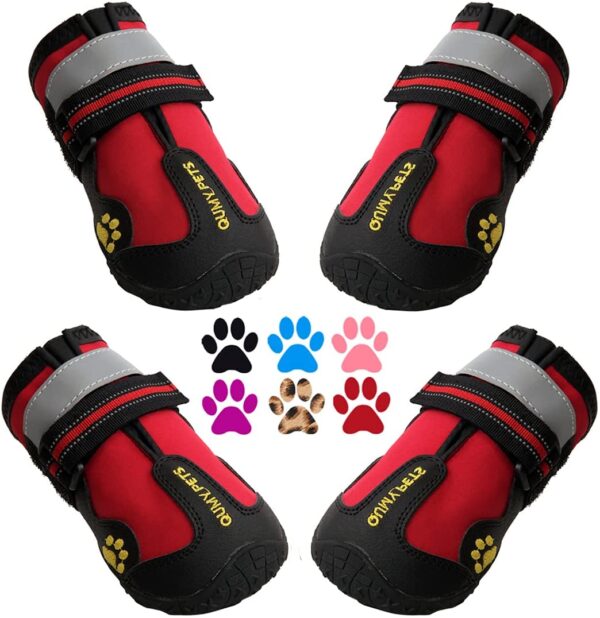 Top 50 Best Dog Shoes of All Time in 2018 (as rated by pet owners)