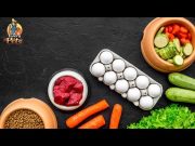 TOP #56: Why Fresh Dog Food Is Better