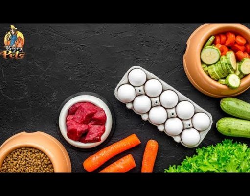 TOP #56: Why Fresh Dog Food Is Better