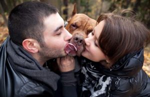 Do Loving Dogs Still Feel Jealousy? Science Says Yes Do Loving Dogs Still Feel Jealousy - Science Says Yes