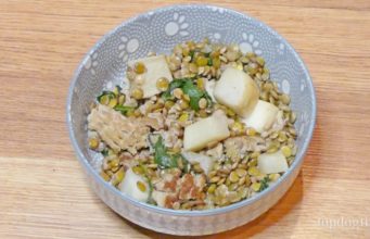 Recipe: Turkey Stir Fry Dog Food for Allergies Dog Food for Allergies