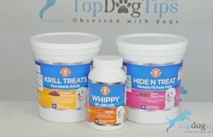Review: Gabby’s Wink Dog Treats and Supplements Gabby's Wink