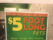 Girl Tricked Her Mom Into Adopting a Dog As If It Was a Sandwich Girl Tricked Her Mom Into Adopting a Dog As If It Was a Sandwich