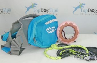 Giveaway: Hiking Supplies for Dogs ($62+ Value) Hiking Supplies for Dogs Giveaway