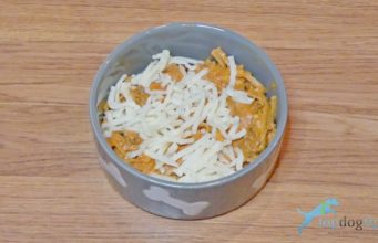 Recipe: Homemade Doggy Chili (for pups and people) Homemade Doggy Chili