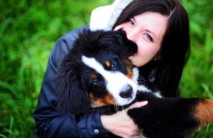 Stinky Puppy? Here’s How to Make a Dog Smell Good How to Make a Dog Smell Good