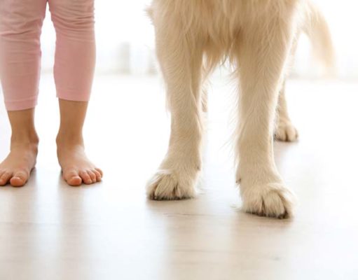 Kids Who Grow Up With Dogs Have Lower Asthma Risks Kids Who Grow Up With Dogs Have Lower Asthma Risks