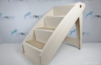 Review: PetSafe Solvit PupSTEP Plus Pet Stairs PetSafe Solvit PupSTEP Plus Pet Stairs Review