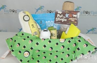 Review: Shaggy Swag Dog Subscription Box Shaggy Swag Dog Subsription Box