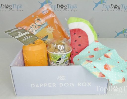 Review: The Dapper Dog Box Subscription Box The Dapper Dog Box
