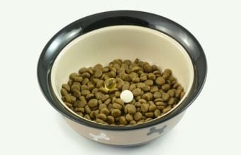 8 Weight Loss Supplements for Dogs 8 Best Dog Supplements for Weight Loss