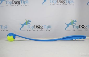 Review: Chuckit! Sport Launcher Dog Toy Chuckit! Sport Launcher Dog Toy