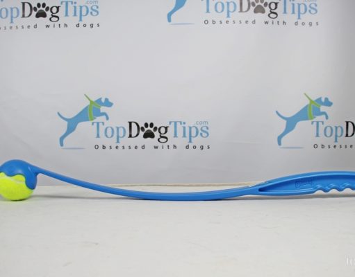 Review: Chuckit! Sport Launcher Dog Toy Chuckit! Sport Launcher Dog Toy