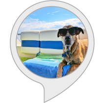 Dog Summer Safety Tips Alexa Skill