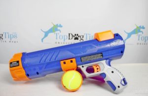 Review: Nerf Dog Tennis Ball Blaster Nerf Dog Tennis Ball Blaster