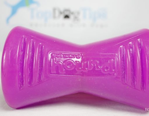 Review: Outward Hound Bionic Bone Dog Toy Outward Hound Bionic Bone