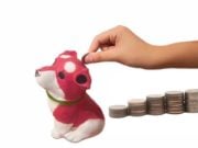 Pet Insurance vs. Pet Savings Account: Which One’s Better for You? Pet Insurance vs Pet Savings Account - Which One’s Better for You