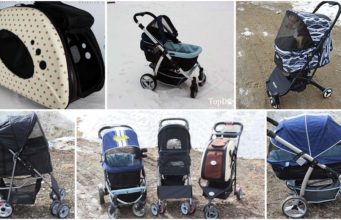 Top 10 Best Dog Stroller Choices Ranking the Best Dog Stroller Brands