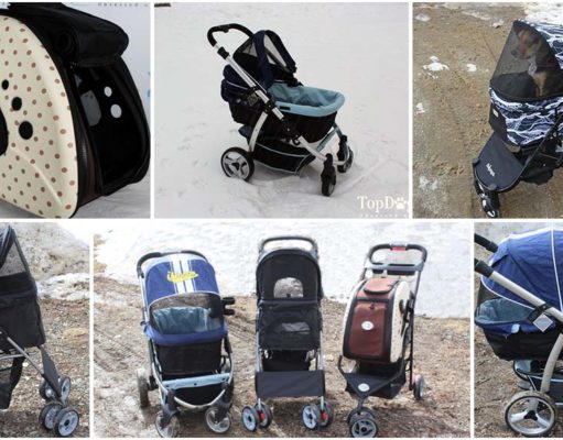 Top 10 Best Dog Stroller Choices Ranking the Best Dog Stroller Brands