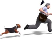 Why Do Dogs Bark at the Mailman? Why Do Dogs Bark at the Mailman - Here's the Answer